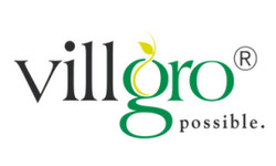 Recognition Brand Image